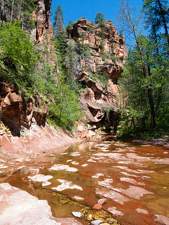 Arizona 2005