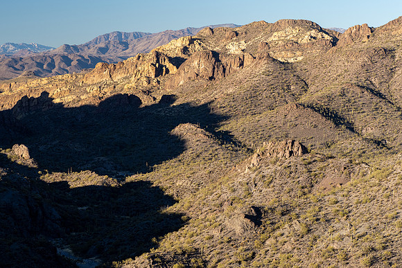 Arizona 2021