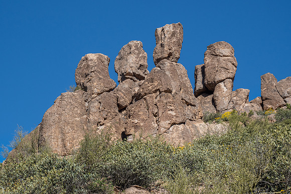 Arizona 2020