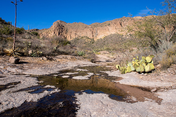 Arizona 2013 - Superstitions Hike Bluff Spring Loop
