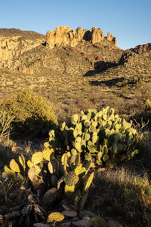 Arizona 2021