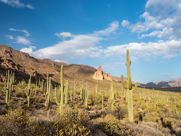 Arizona 2018