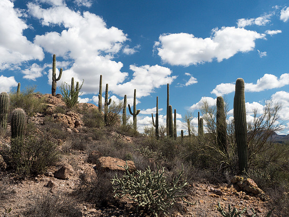 Arizona 2018