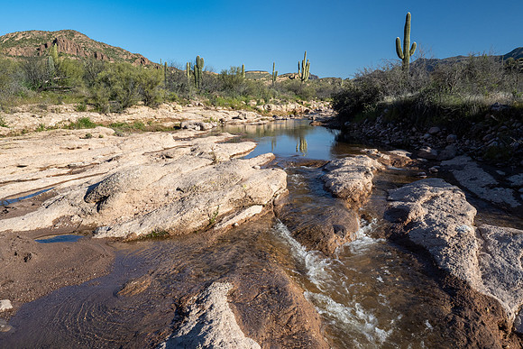 Arizona 2020