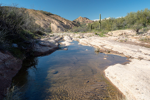Arizona 2019