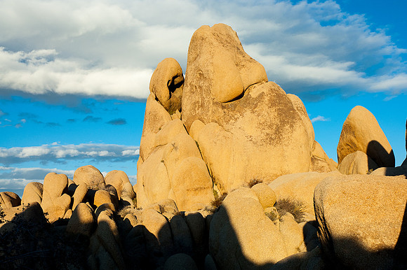 Joshua Tree National Park