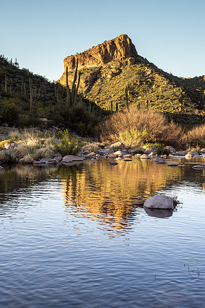 Arizona 2020