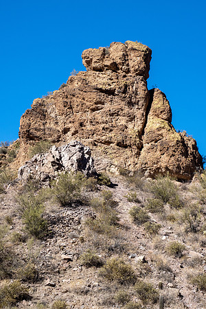 Arizona 2021