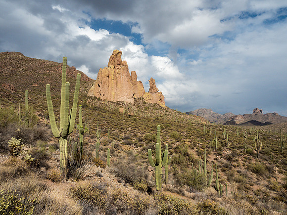 Arizona 2018