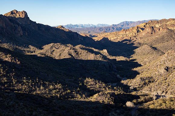 Arizona 2021