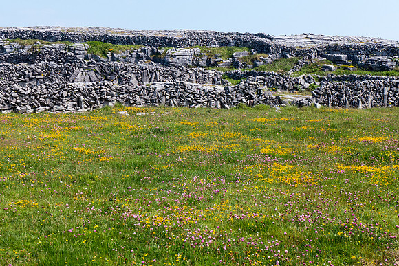 Ireland 2013