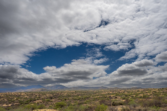 Arizona 2025