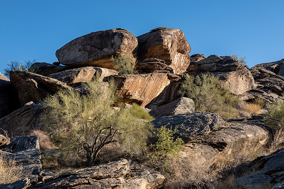 Arizona 2020