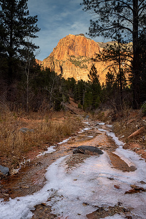 Zion National Park 2024