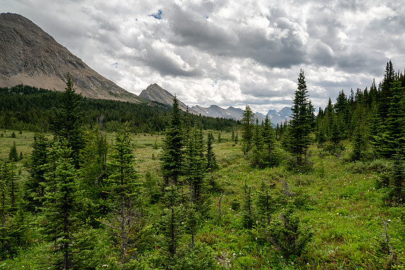 Banff National Park 2025