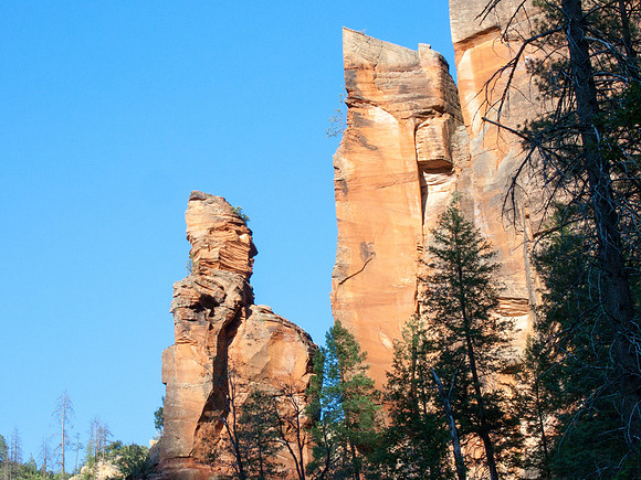 Arizona 2005