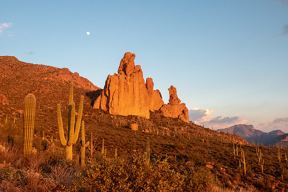Arizona 2019