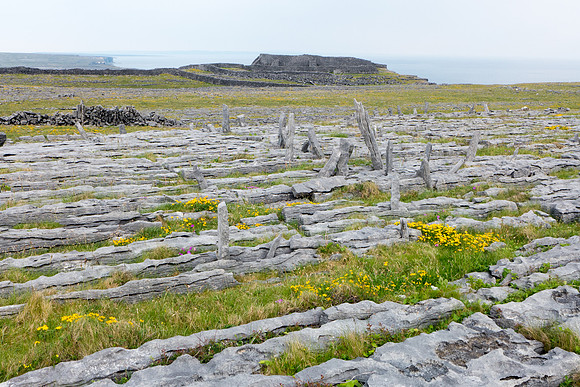 Ireland 2013