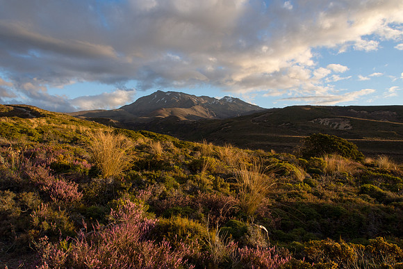 New Zealand 2013