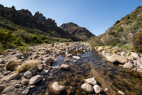 Arizona 2020