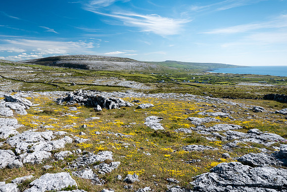 Ireland 2017