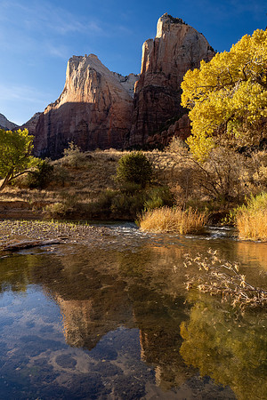 Zion National Park 2024