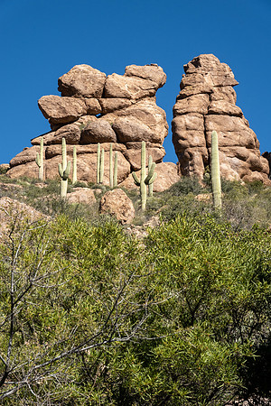 Arizona 2019