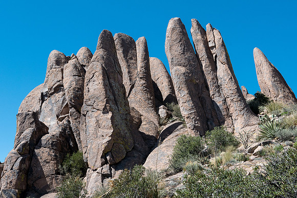 Arizona 2015 - Superstitions Ridge Hike (Mar)