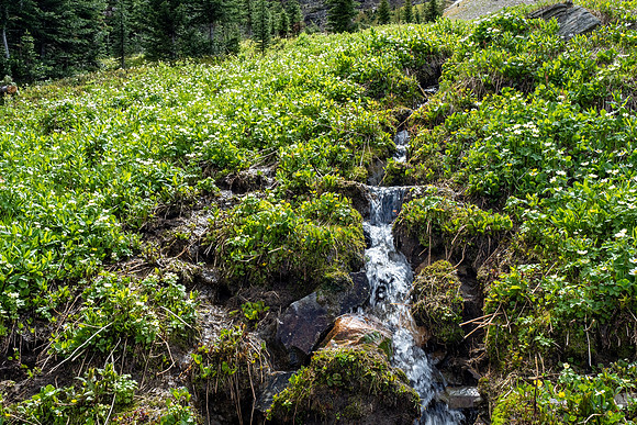 Pacific NW 2019