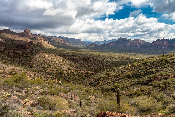 Arizona 2019