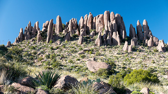 Arizona 2015 - Superstitions Ridge Hike (Mar)