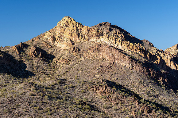 Arizona 2021