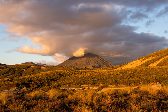 New Zealand 2013