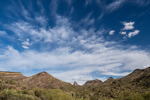 Arizona 2021