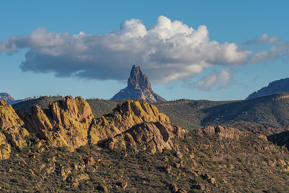 Arizona 2019