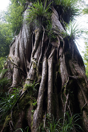 New Zealand 2013