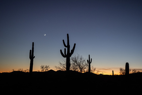 Arizona 2020