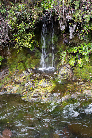 New Zealand 2013