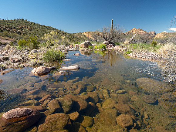 Arizona 2019
