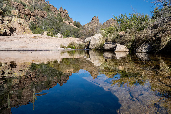 Arizona 2020