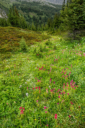 Banff National Park 2025