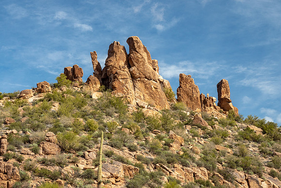 Arizona 2019