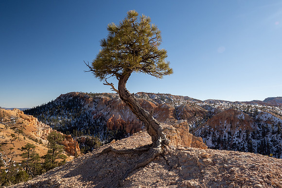 Bryce Canyon National Park 2022