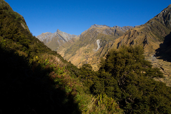 New Zealand 2013