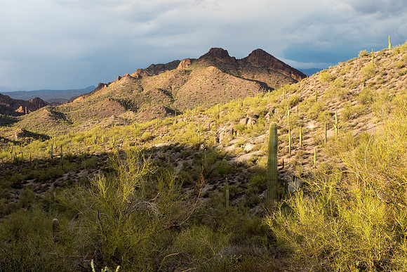 Arizona 2018