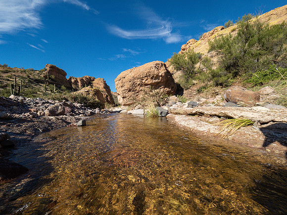 Arizona 2019