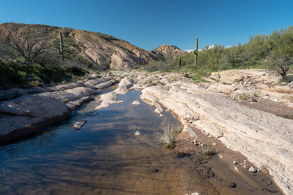 Arizona 2019