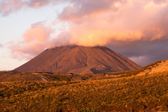 New Zealand 2013
