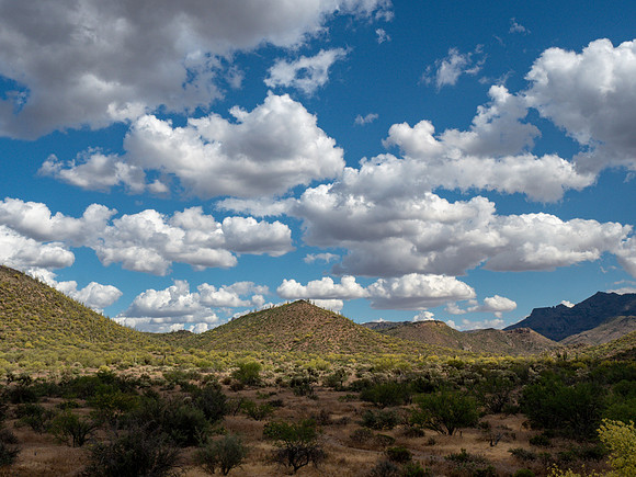 Arizona 2019