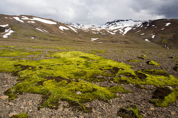 Iceland 2014